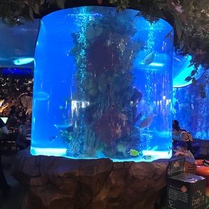 Meet your Posher, Donald